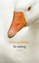 de omweg