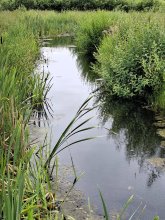 diepenveen