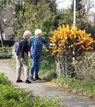 Diepenveen april