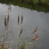 Schalkhaar