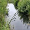 diepenveen